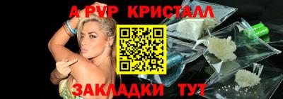 2c-b Кингисепп