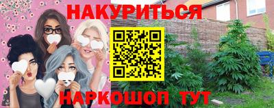 2c-b Кингисепп
