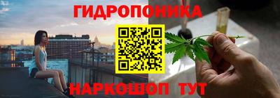 2c-b Кингисепп