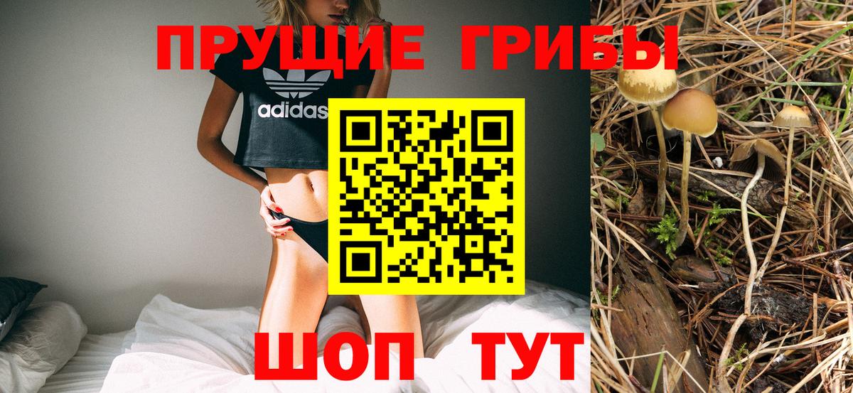 Псилоцибиновые грибы мухоморы  Галлюциногенные грибы мухоморы  Вход с VPN  Краснознаменск 