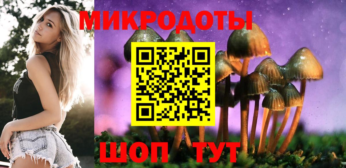 Галлюциногенные грибы MAGIC MUSHROOMS Краснознаменск