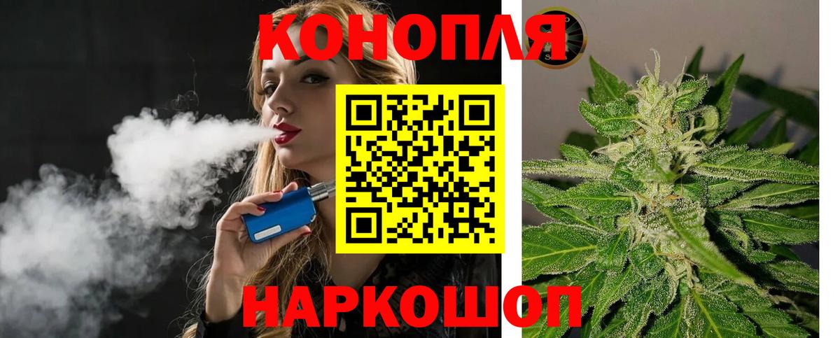 Бошки марихуана планчик Краснознаменск